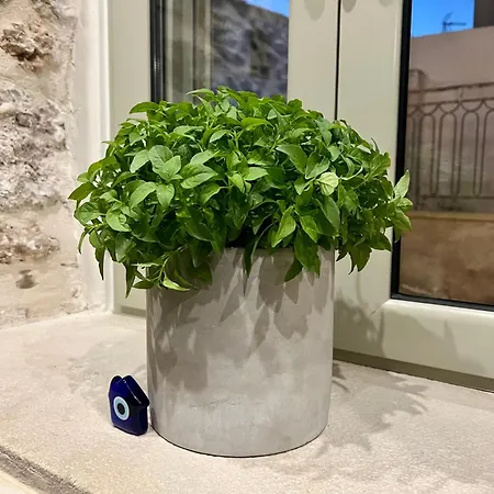 Kassandra Ferienhaus