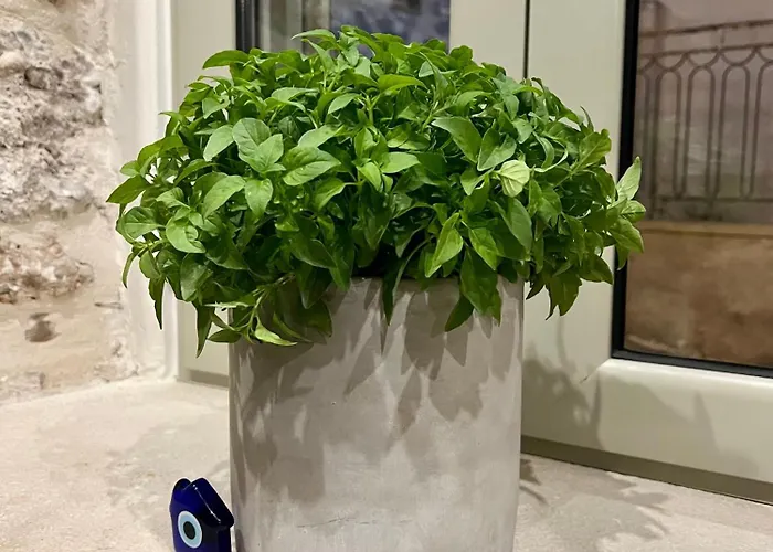 Kassandra Casa de Férias